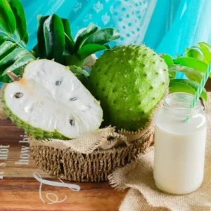 Soursop Tree Live Plant Annona Muricata Sweet Fruit Tree 5-9 Inch Tall Tropical Subtropical